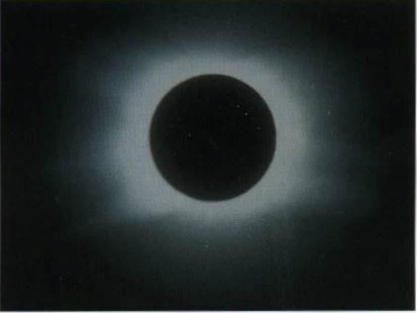 Solar prominences during totality