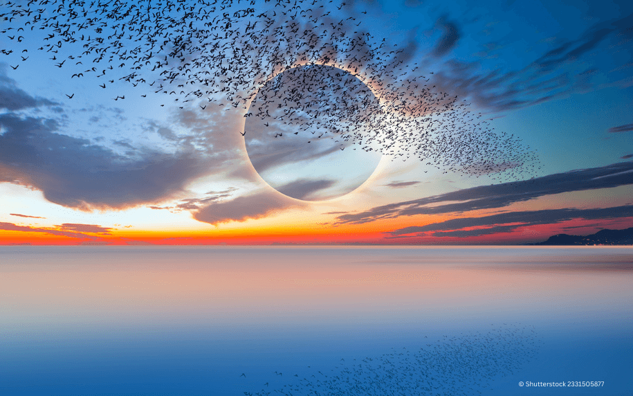 How Nature Responds