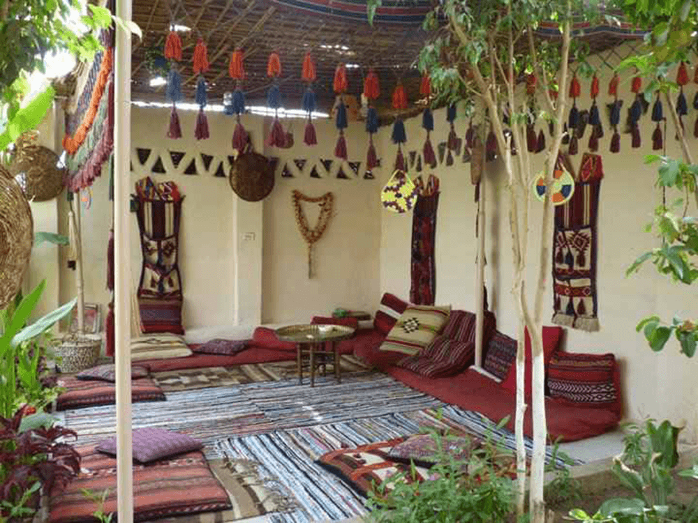 From Oases to the Night Sky: A Journey South